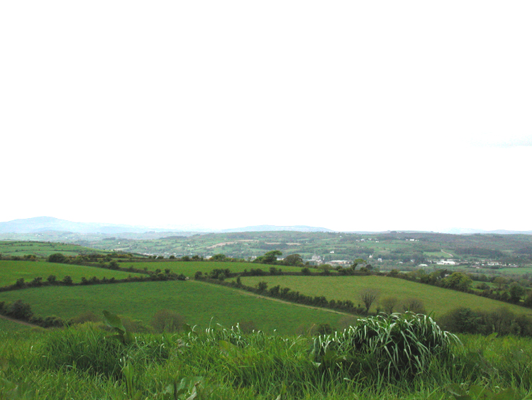 Boulteen E2.jpg 240.0K
